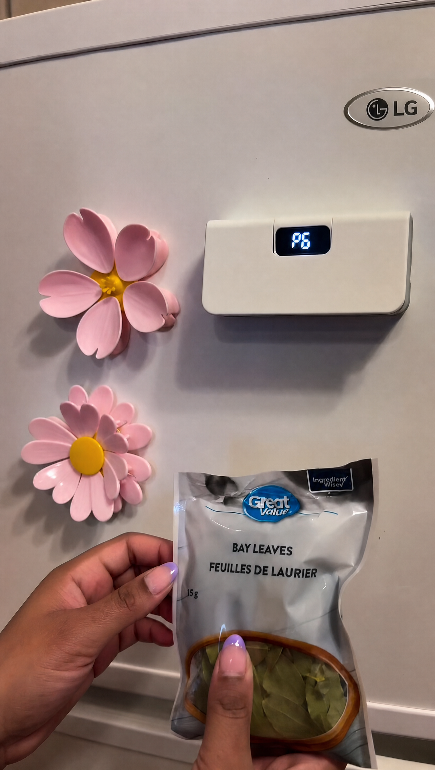 Snaptite on the fridge with a sealed bag